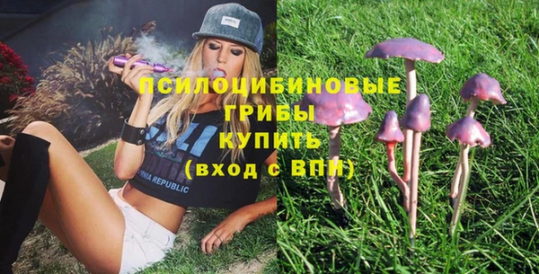 молекула духа Кодинск