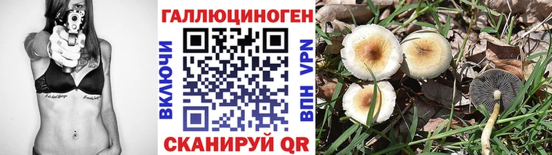 где купить наркотик  Сокол  Псилоцибиновые грибы ЛСД 