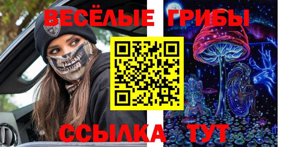 Галлюциногенные грибы GOLDEN TEACHER  Вход с VPN  Сокол 
