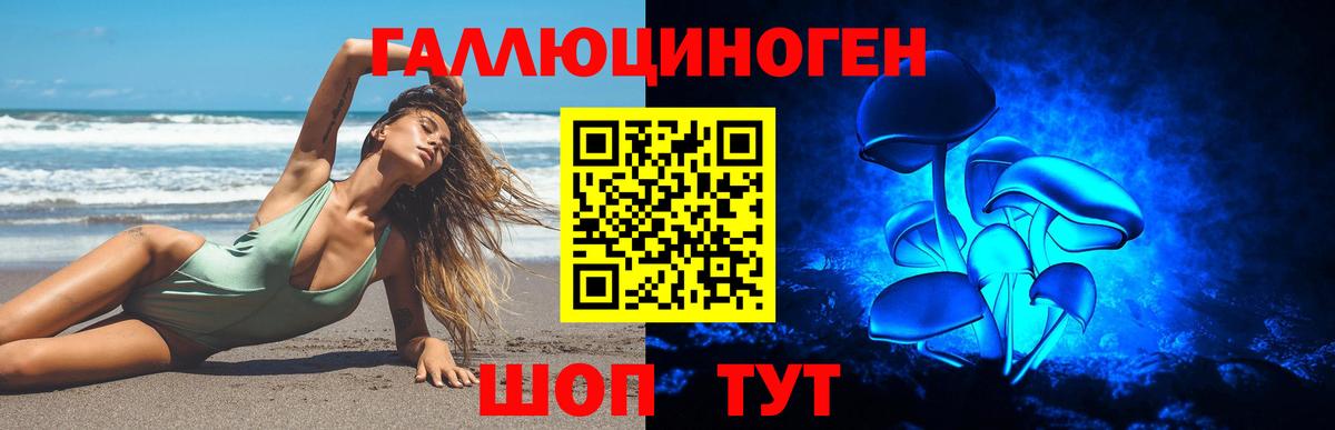 Псилоцибиновые грибы Psilocybe Сокол
